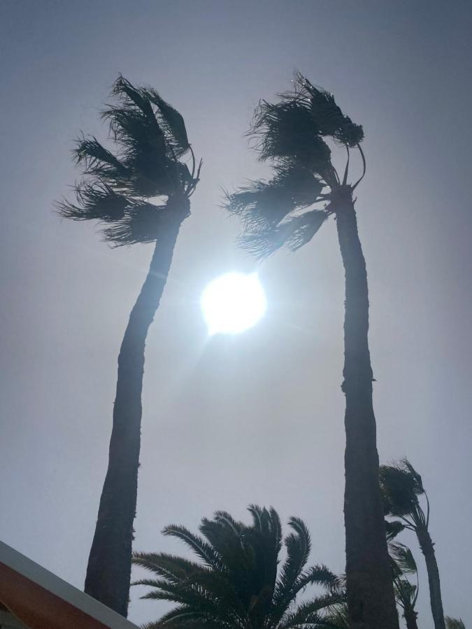 Green Oasis Costa Calma!!! Brand New !! Free wi-fi Buitenkant foto